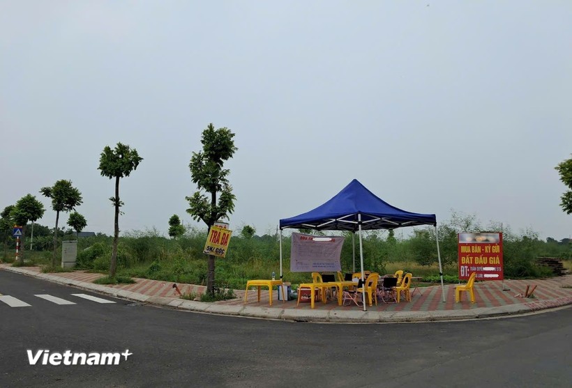 Bộ TN-MT: Nhiều lô đất đấu giá ở Hà Nội chưa nộp tiền, có dấu hiệu bỏ cọc