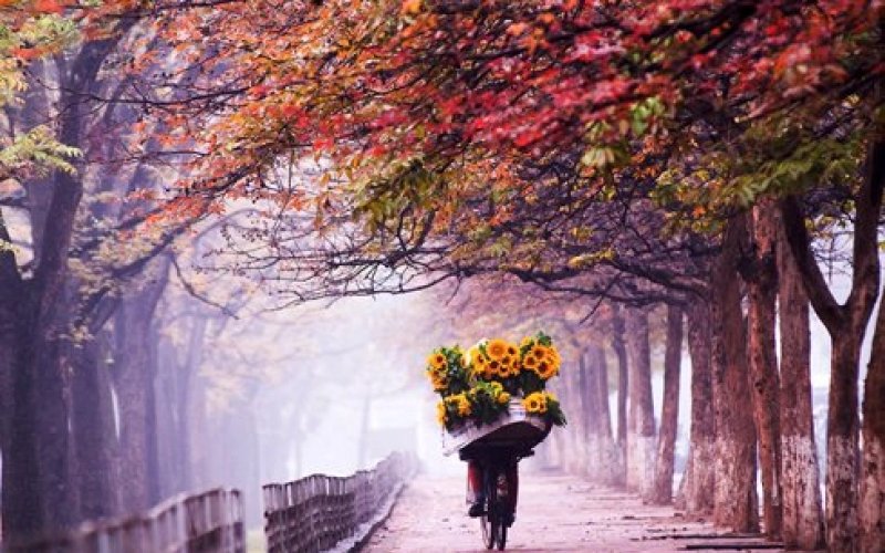 Hà Nội ngày tháng cũ