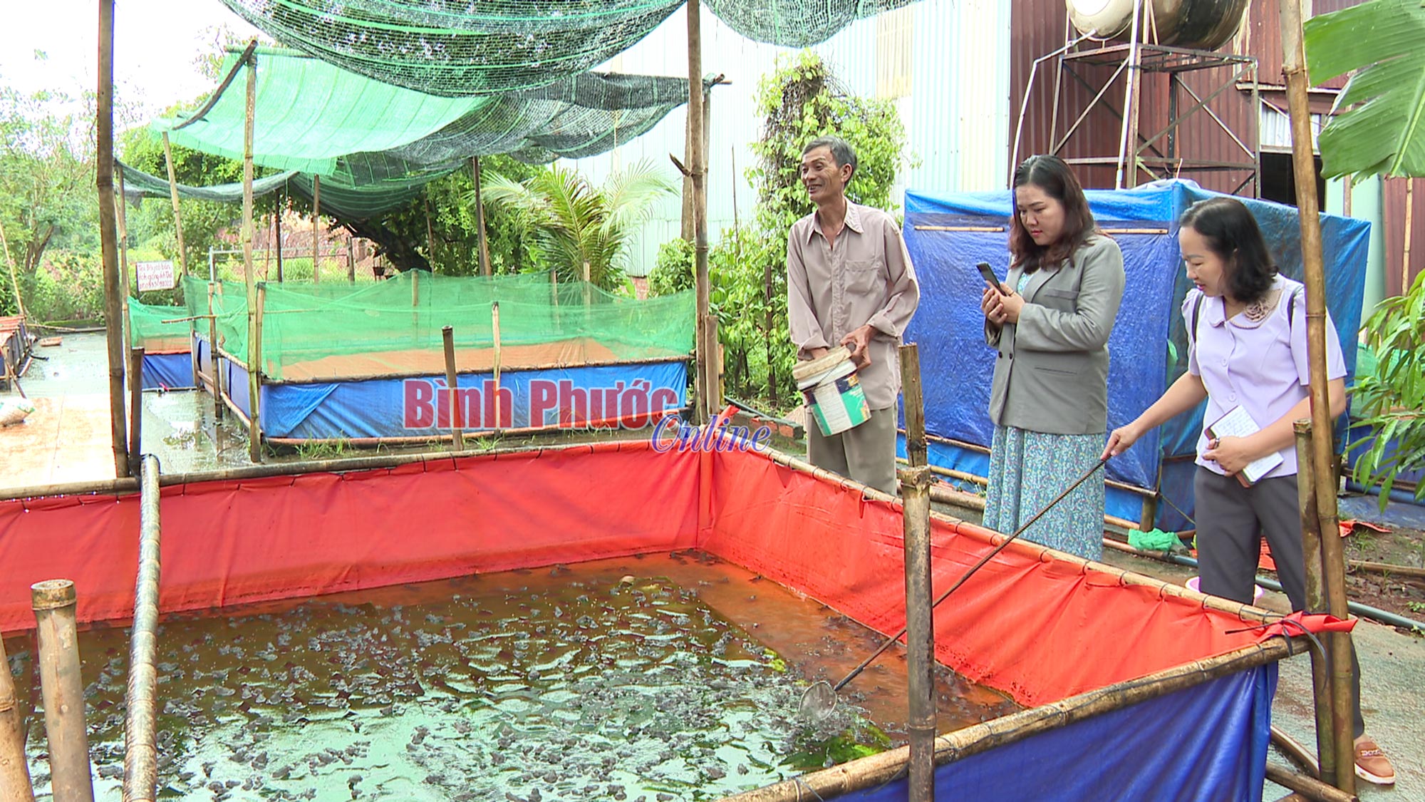 Hướng đi mới cho nông dân ít đất