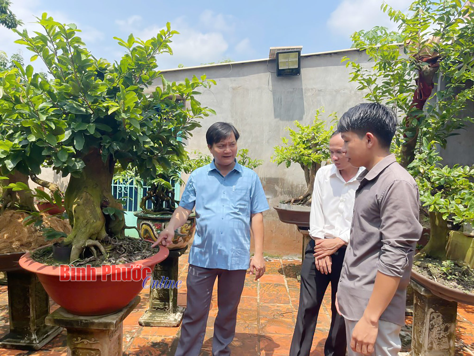 Khởi nghiệp từ đam mê mai kiểng