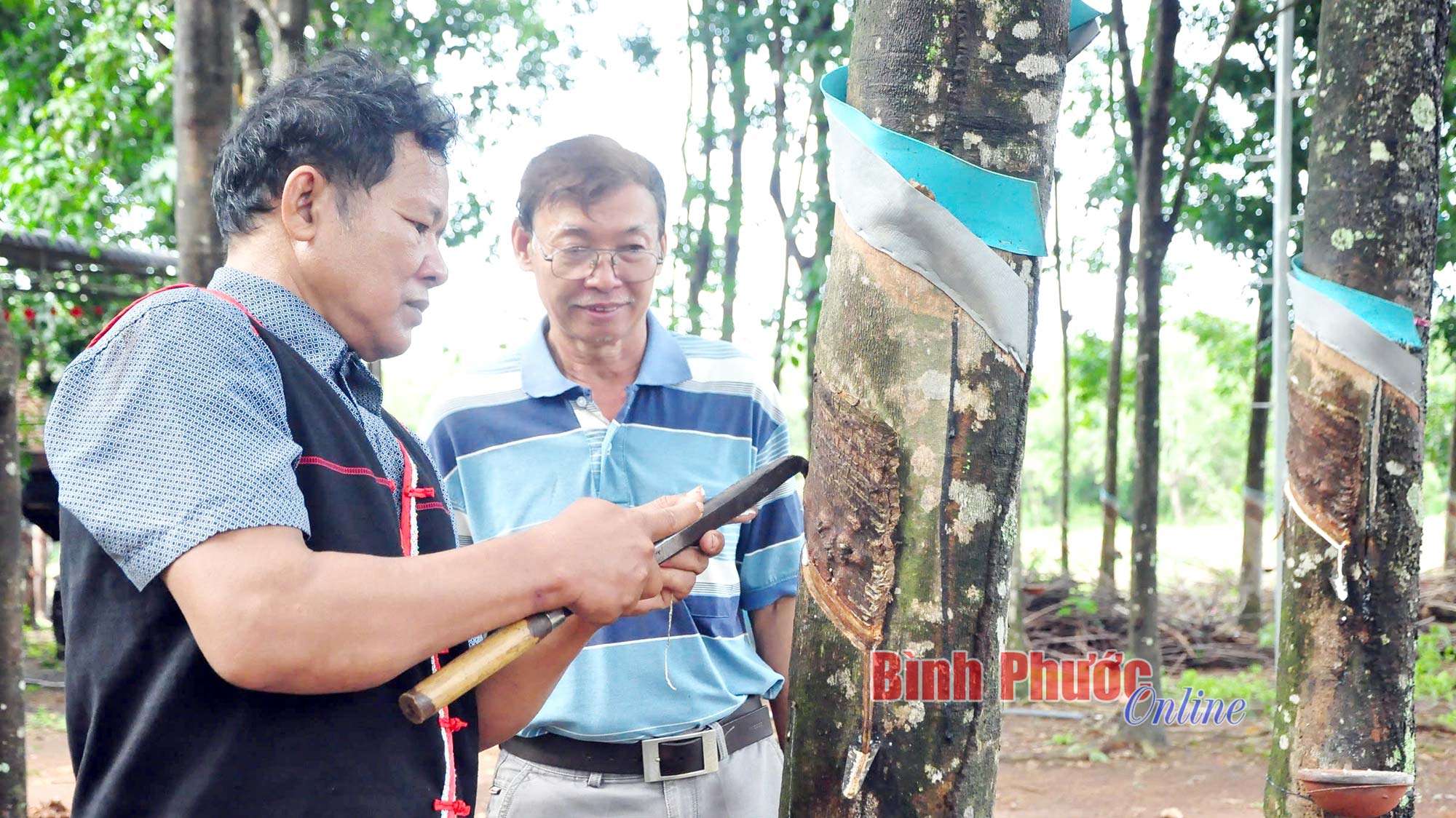 Người S’tiêng trong hành trình phát triển