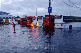 Thời tiết ngày 5-10: Mưa dông vào chiều tối tại Nam Tây Nguyên và Nam Bộ