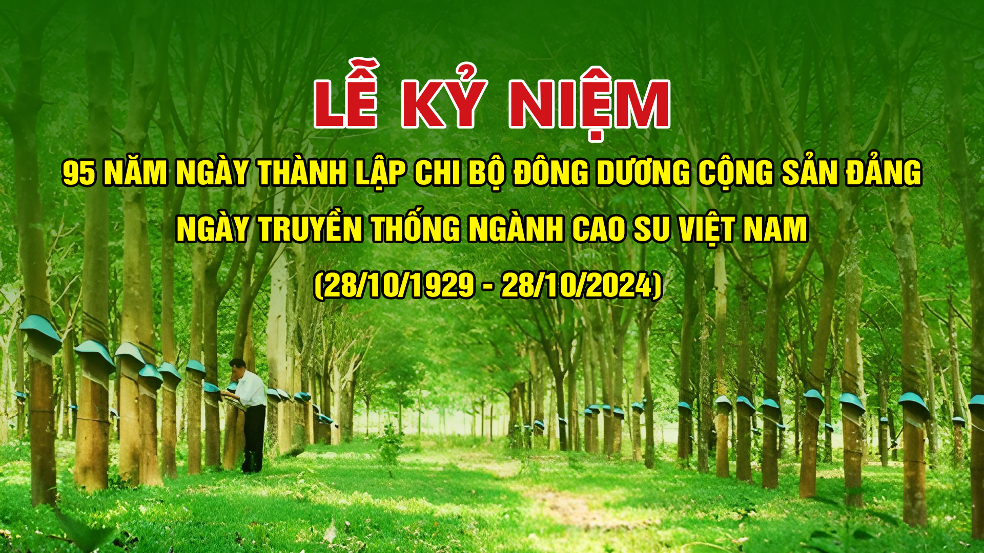 🔴 TRỰC TIẾP | Lễ kỷ niệm 95 năm Ngày thành lập Chi bộ Đông Dương Cộng sản Đảng, Ngày truyền thống ngành Cao su Việt Nam 