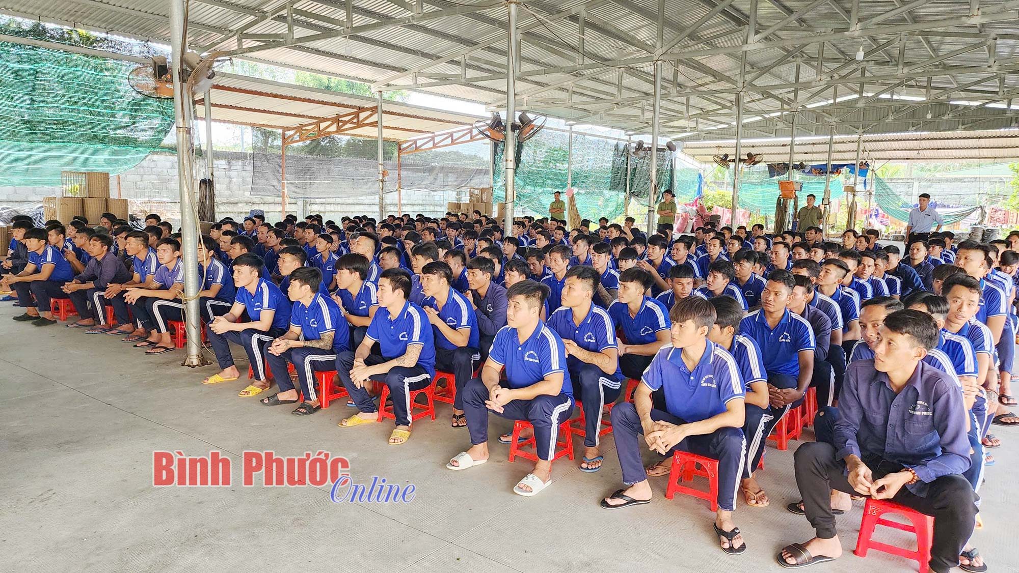 Tư vấn an toàn lao động, tái hòa nhập cộng đồng