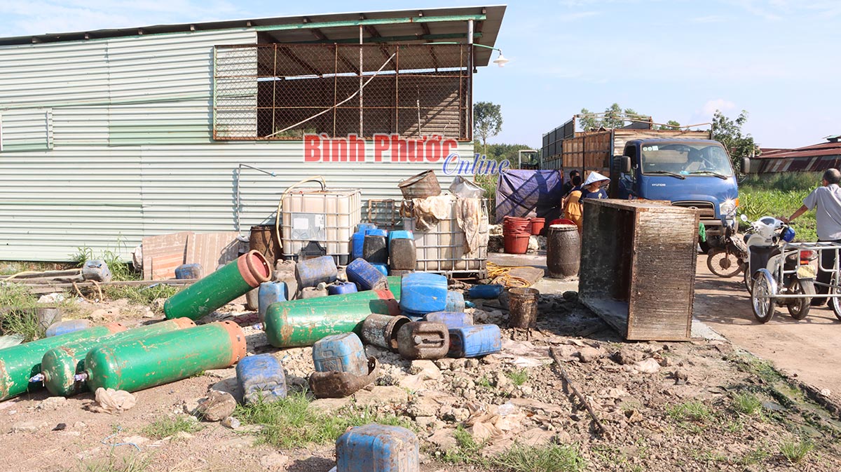 Xử lý nghiêm cơ sở thu mua mủ cao su gây ô nhiễm môi trường