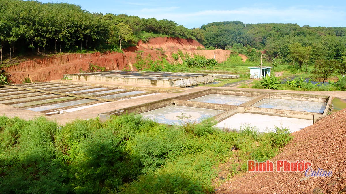 Xử lý nghiêm vi phạm về môi trường