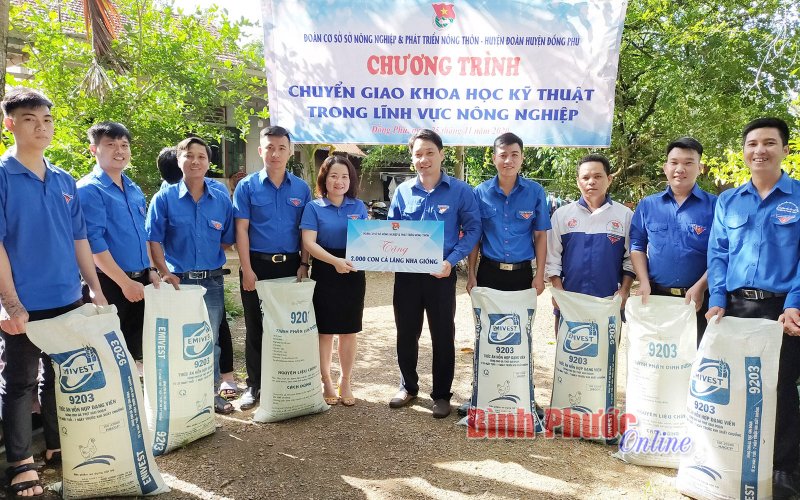 Chuyển giao mô hình nuôi cá lăng nha cho đoàn viên Đồng Phú
