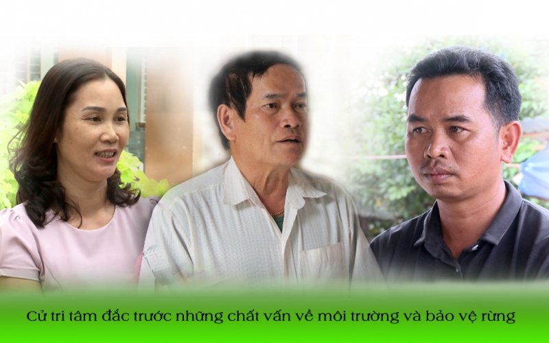 Cử tri tâm đắc trước những chất vấn về môi trường và bảo vệ rừng