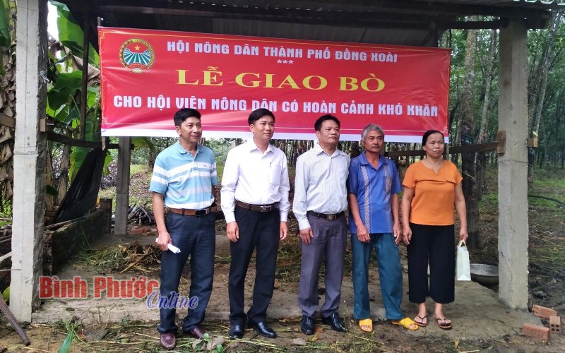 Hội nông dân thành phố Đồng Xoài trao bò hỗ trợ hộ khó khăn