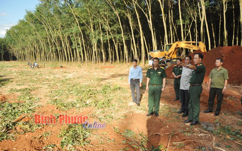 Tạo mọi điều kiện để Đội K72 đẩy nhanh tiến độ đào tìm, quy tập mộ liệt sĩ