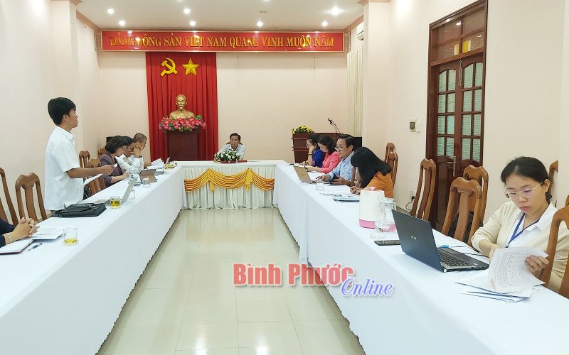 Thảo luận sôi nổi, trách nhiệm tại cuộc họp các tổ đại biểu trước kỳ họp thứ mười bốn, HĐND tỉnh khóa IX 