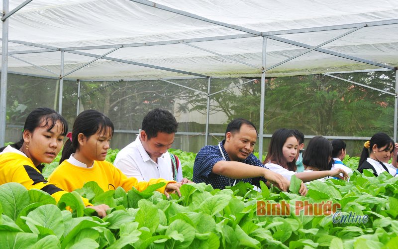 Trường học không khói thuốc lá