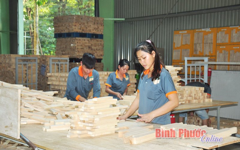 Vốn tín dụng chính sách: Đòn bẩy để doanh nghiệp phát triển