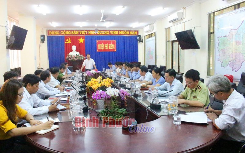 Xuất hiện dịch tả lợn châu Phi tại huyện Phú Riềng