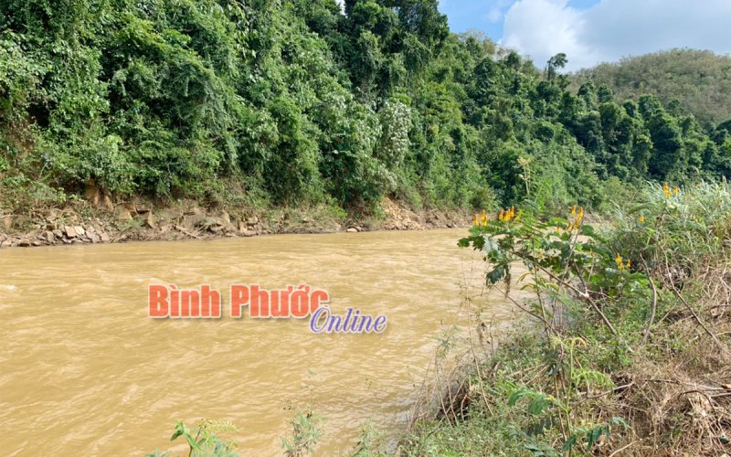 Bơi qua sông để hái cà phê, một người đàn ông bị nước cuốn mất tích