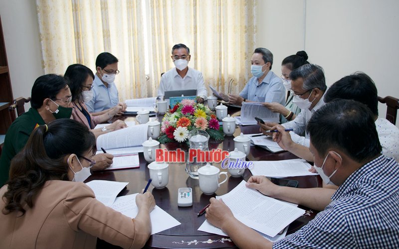 Các tổ đại biểu HĐND tỉnh thảo luận trước kỳ họp thứ ba, khóa X