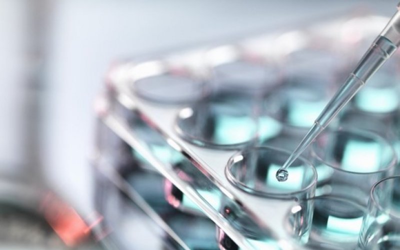 Cuộc chạy đua phát triển vaccine COVID-19 chống lại biến thể mới