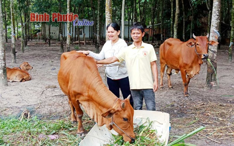 Hơn 10.700 hộ được tiếp cận các chương trình tín dụng ưu đãi