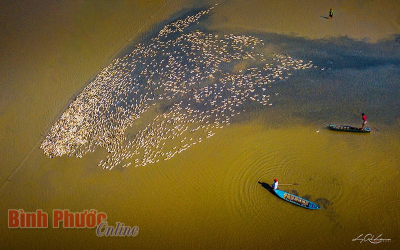 Mưu sinh m&ugrave;a nước nổi