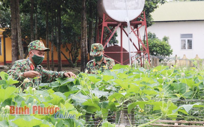 Tăng gia sản xuất, nhân lên niềm vui