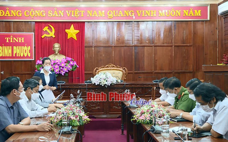 Thảo luận 29 tờ trình dự thảo nghị quyết trình kỳ họp thứ 3, HĐND tỉnh khóa X
