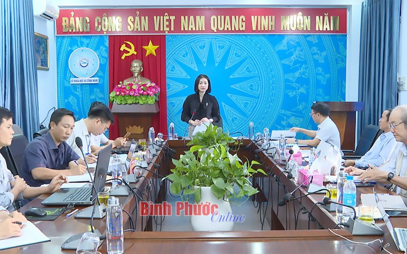 Bình Phước thông qua đề tài nghiên cứu bảo tồn và phát triển nguồn gen Trà Mi