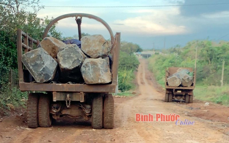 Bù Đăng: Phát hiện 3 xe ôtô chở đá cây