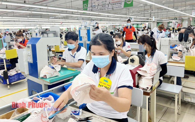 Chính sách bảo hiểm tạo “lưới an sinh” vững chắc