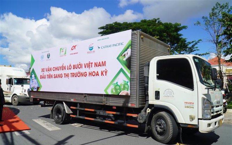 Công bố xuất khẩu lô bưởi đầu tiên của Việt Nam sang Hoa Kỳ