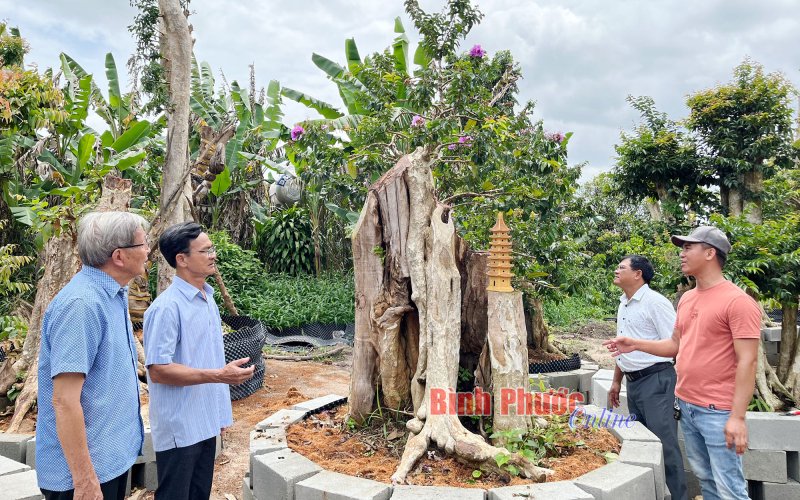 Đổi mới tư duy, thúc đẩy nông nghiệp đô thị