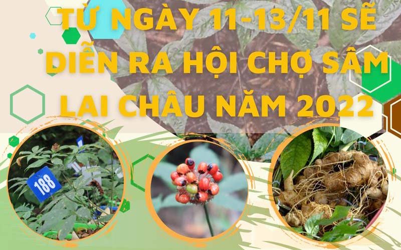 Hội chợ sâm lần đầu tiên được tổ chức tại Lai Châu