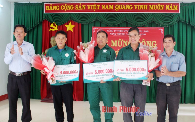 Nông trường Minh Hưng hoàn thành kế hoạch sớm nhất Cao su Bình Long