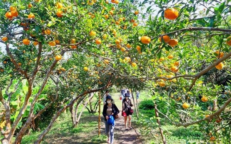 Phát triển OCOP gắn với du lịch