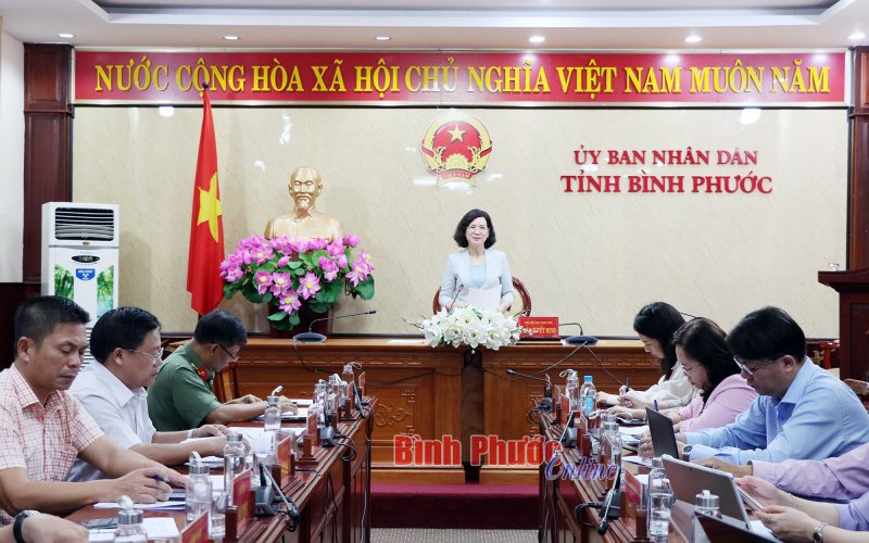 Thông qua dự thảo nghị quyết trình kỳ họp cuối năm của HĐND tỉnh