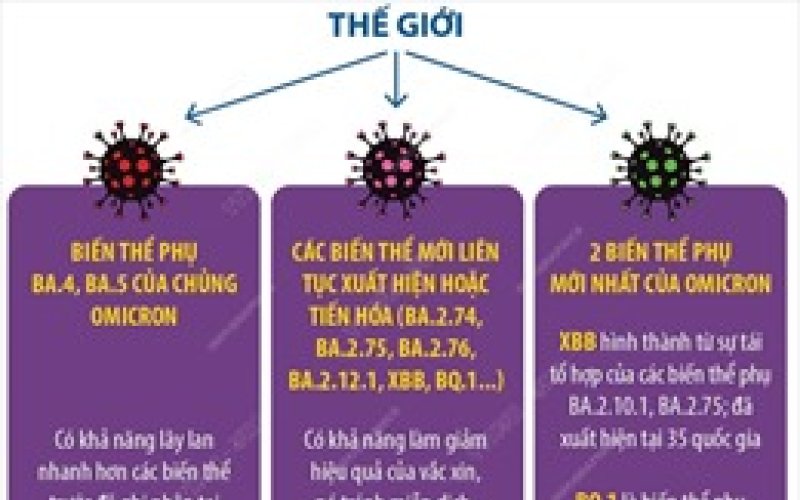 WHO: Vaccine vẫn có giá trị bảo vệ cao trước đại dịch COVID-19