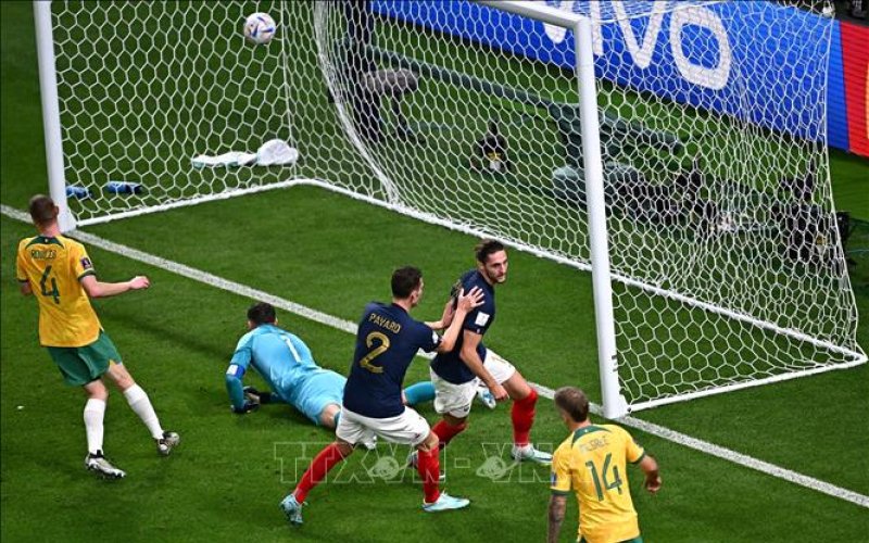 WORLD CUP 2022: Bảng D - Gà trống Gaulois gáy vang trên sân Al Janoub