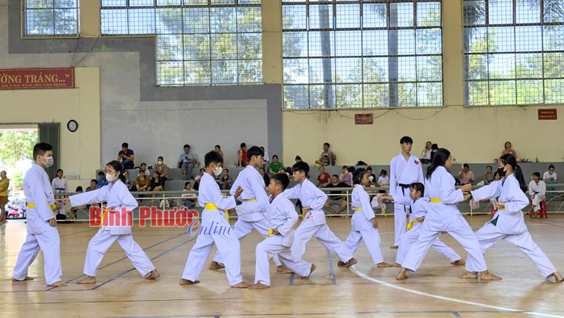 314 võ sinh được thăng cấp đai karate