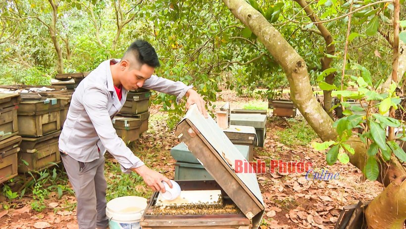 Chắt chiu mật ngọt