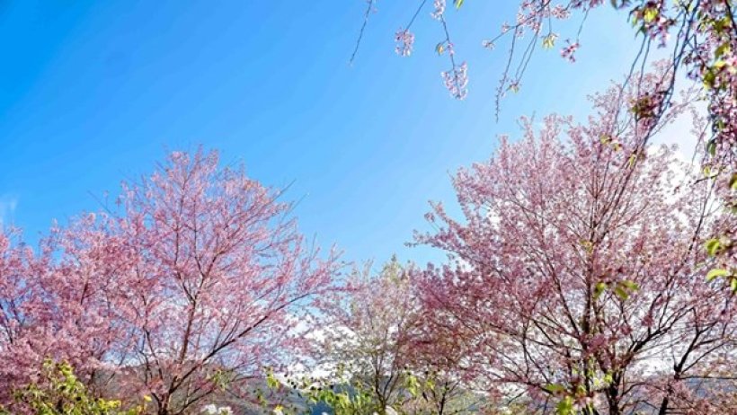 'Chốt' phương án nghỉ Tết Âm lịch 7 ngày, nghỉ lễ Quốc khánh 4 ngày