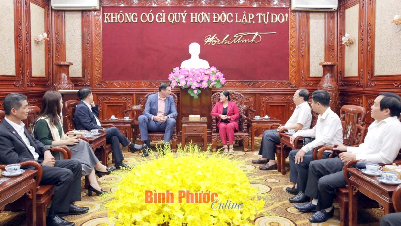 Chủ tịch UBND tỉnh làm việc với Chủ tịch EuroCham tại Việt Nam