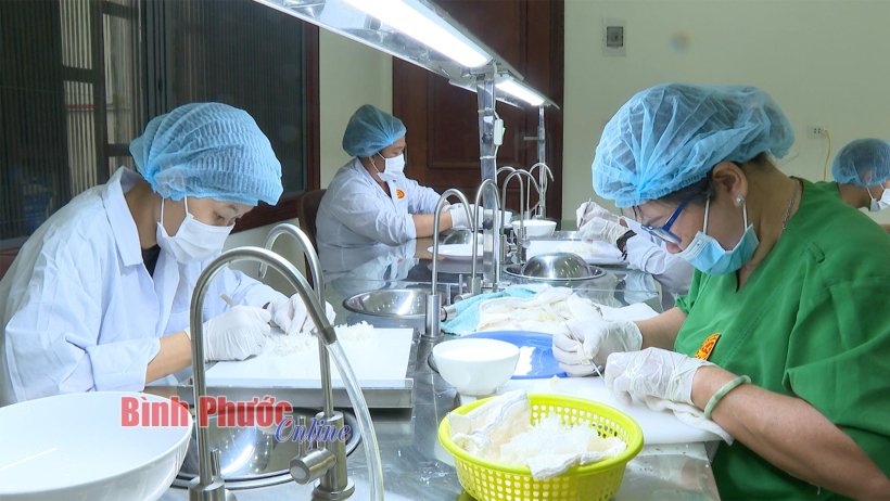 Nâng giá trị Việt bay xa