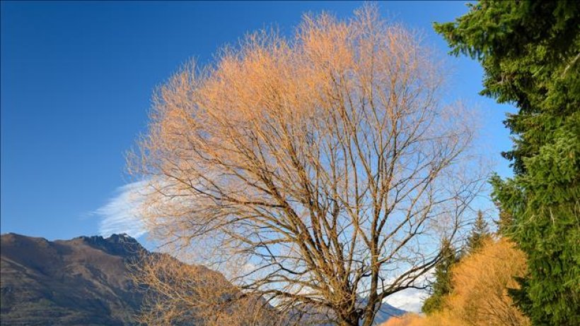 Quyến rũ m&ugrave;a thu v&agrave;ng tr&ecirc;n khắp thế giới