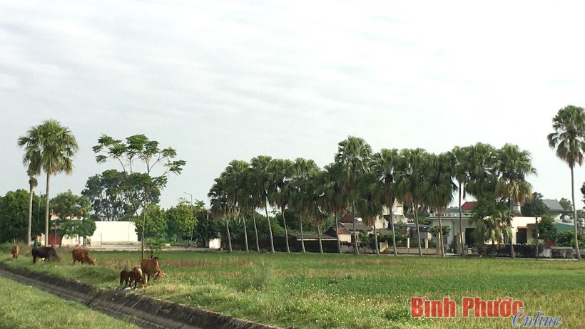 T&ecirc;n l&agrave;ng - nơi lưu giữ hồn l&agrave;ng, hồn nước