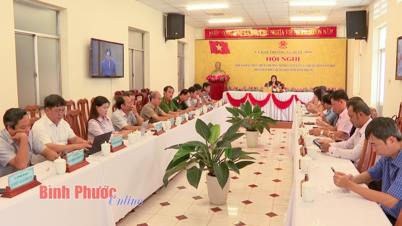 Triển khai chương trình giám sát của Quốc hội năm 2024 