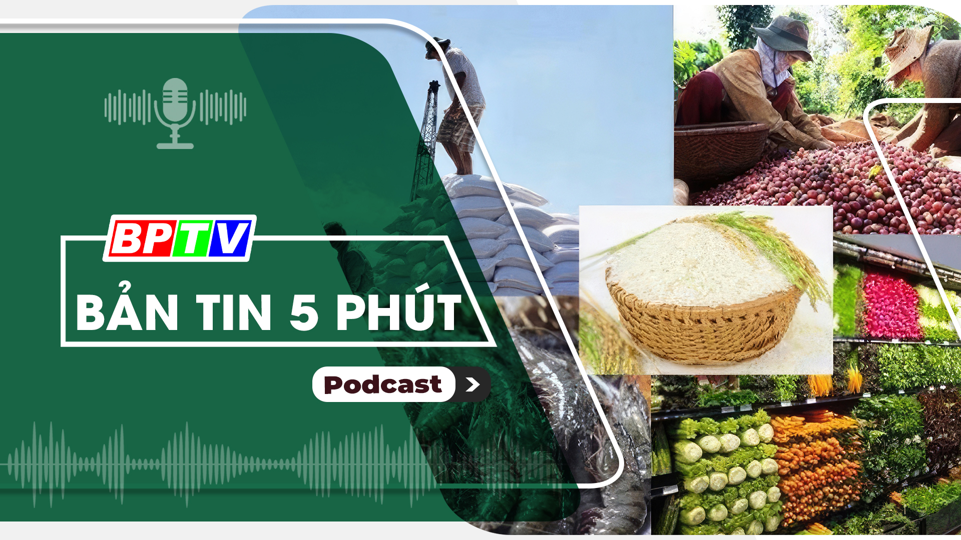5 phút sáng nay 10-11-2024