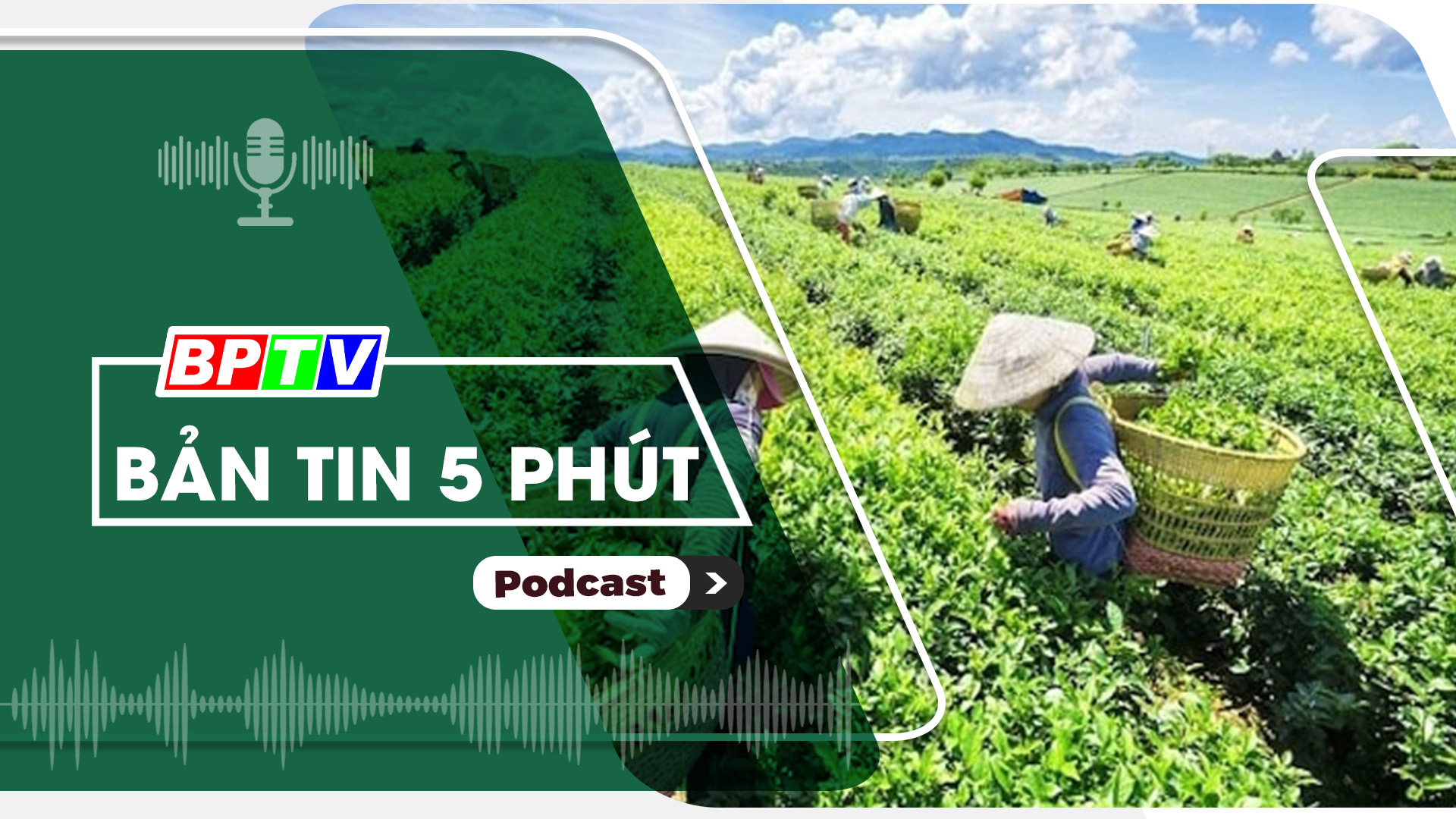 5 phút sáng nay 7-11-2024