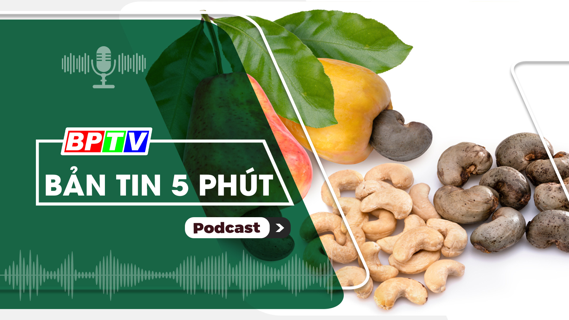 5 phút trưa nay 15-11-2024
