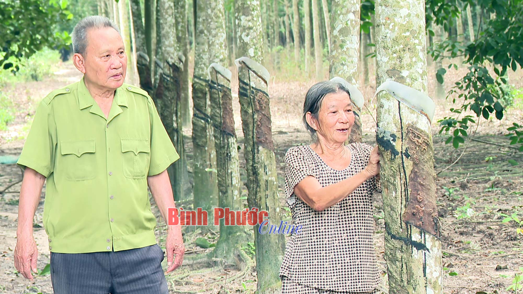 An cư lạc nghiệp trên vùng đất mới