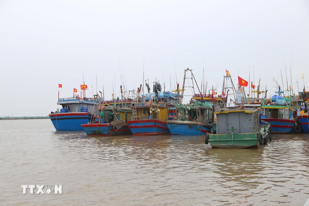 Bão số 9 đã suy yếu thành áp thấp nhiệt đới, có khả năng tan trên biển
