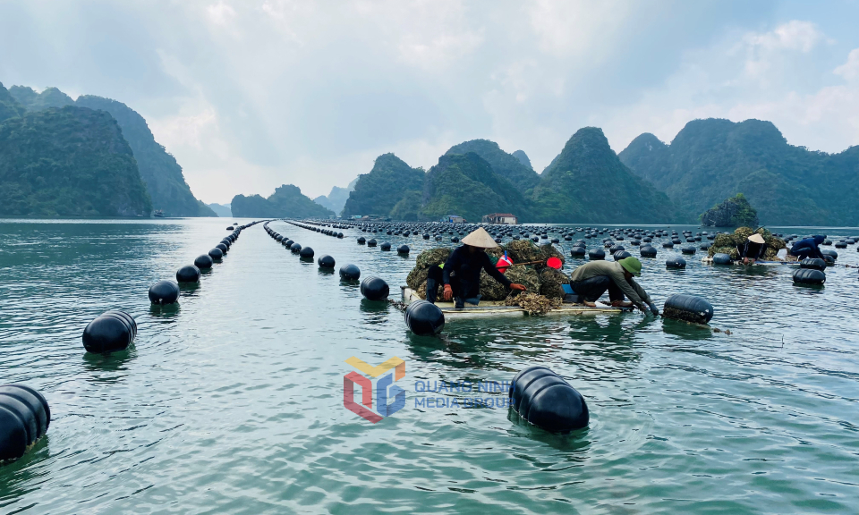 Ổn định sản xuất trong bối cảnh mới